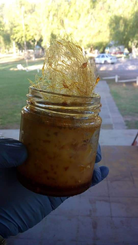 Postre con azúcar hilada